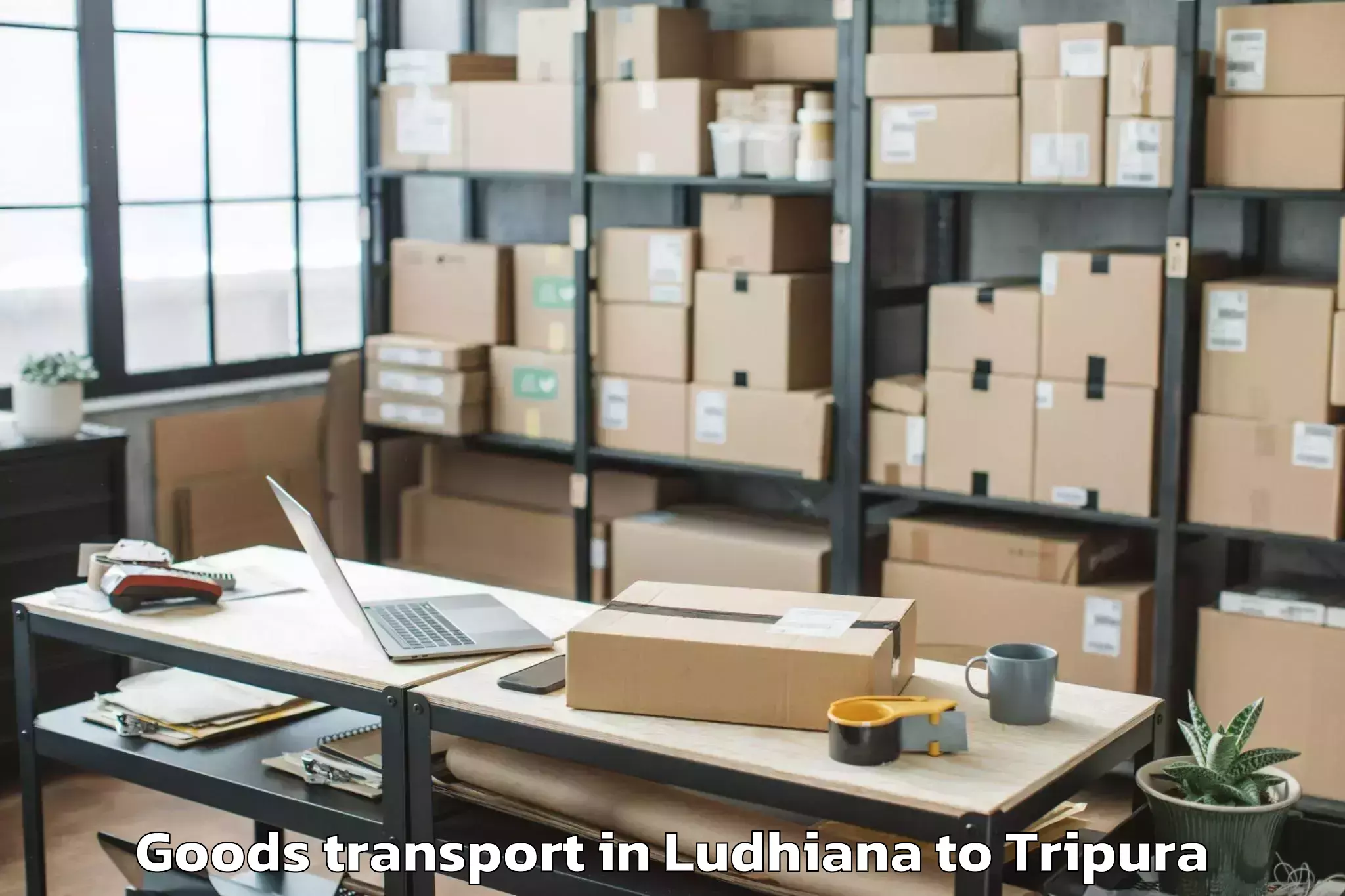 Book Your Ludhiana to Panisagar Goods Transport Today